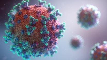 Ausnahmezustand wegen Coronavirus darf nicht zur Regel werden